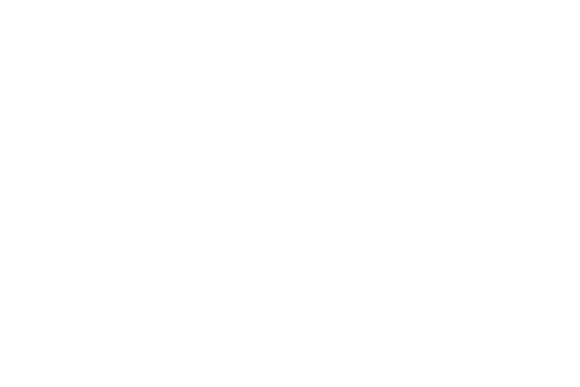 Dixie Dirt Logo